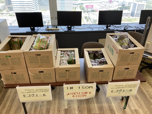 JFEグループ会社で栽培している野菜